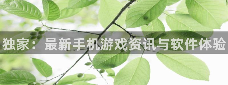 鼎点娱乐注册官方登录app：独家：最新手机游戏资讯与软件体验