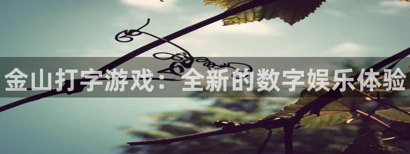 鼎点娱乐是什么