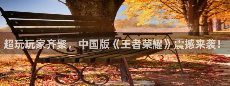 鼎点娱乐平台官网入口：超玩玩家齐聚，中国版《王者荣耀》震撼来