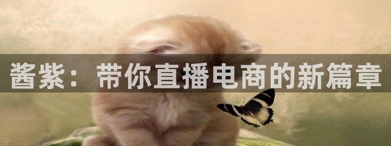 鼎点娱乐平台：酱紫：带你直播电商的新篇章
