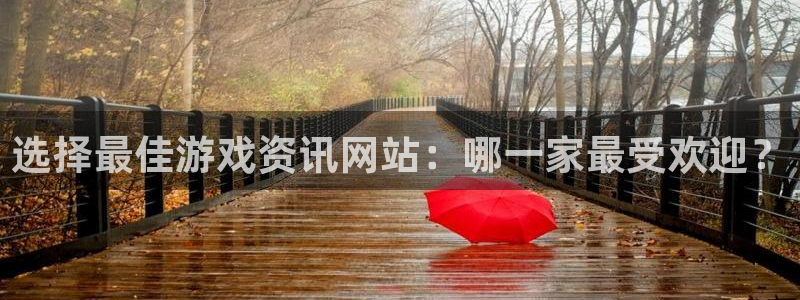 鼎点娱乐官方登录网址：选择最佳游戏资讯网站：哪一家最受欢迎？