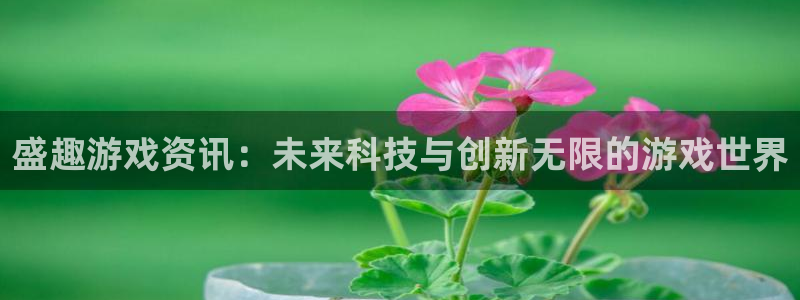 鼎点娱乐的意思：盛趣游戏资讯：未来科技与创新无限的游戏世界