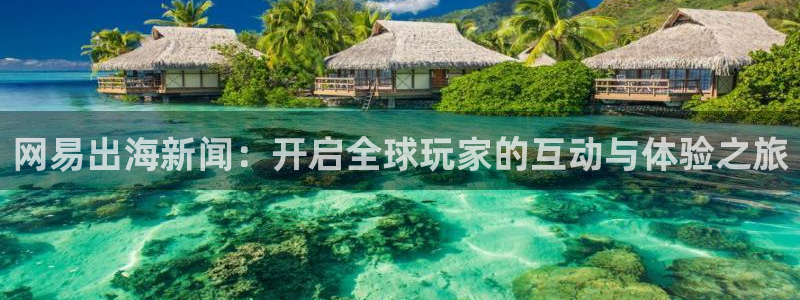 鼎点娱乐是什么：网易出海新闻：开启全球玩家的互动与体验之旅