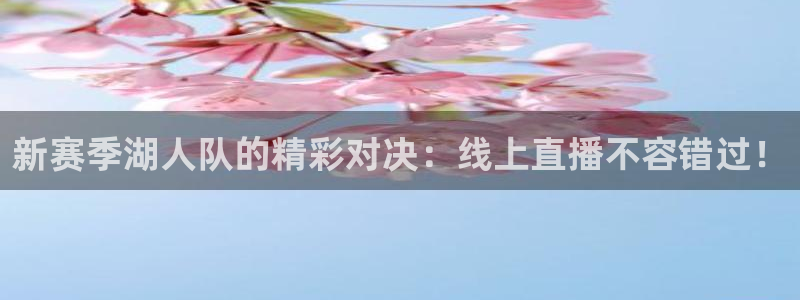 河豚体育直播免费观看：新赛季湖人队的精彩对决：线上直播不容错过！