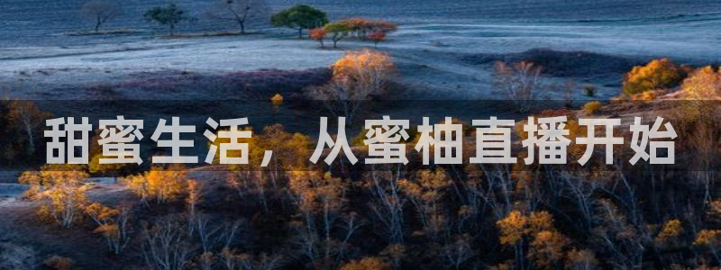 河豚体育nba直播：甜蜜生活，从蜜柚直播开始
