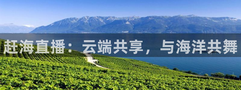 河豚视频：赶海直播：云端共享，与海洋共舞