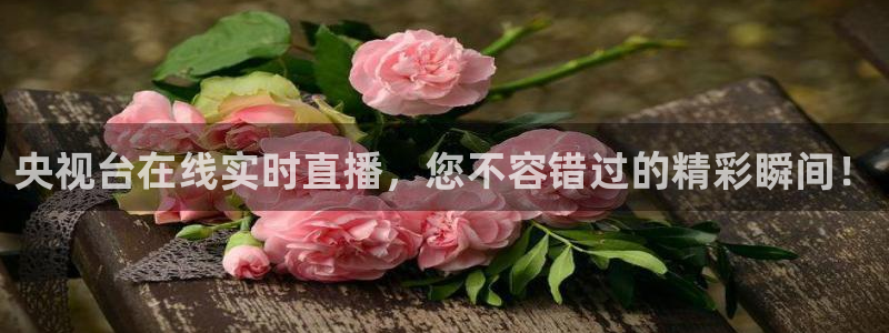 河豚直播nba免费观看：央视台在线实时直播，您不容错过的精彩瞬间！