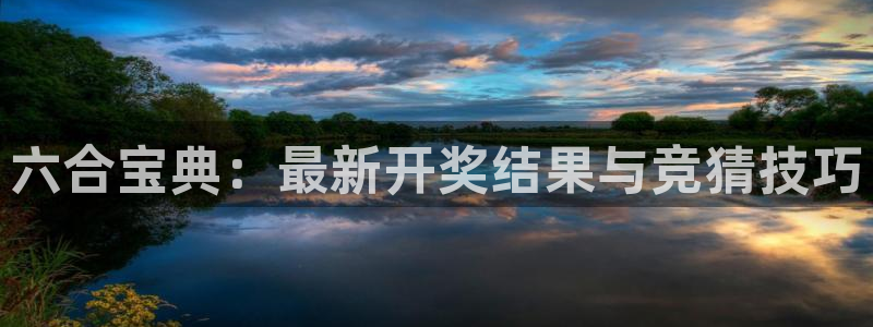 河豚nba直播比赛：六合宝典：最新开奖结果与竞猜技巧