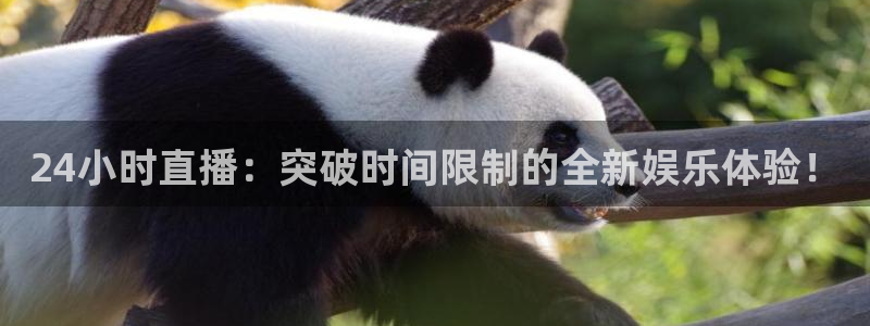河豚直播nba免费观看：24小时直播：突破时间限制的全新娱乐体验！