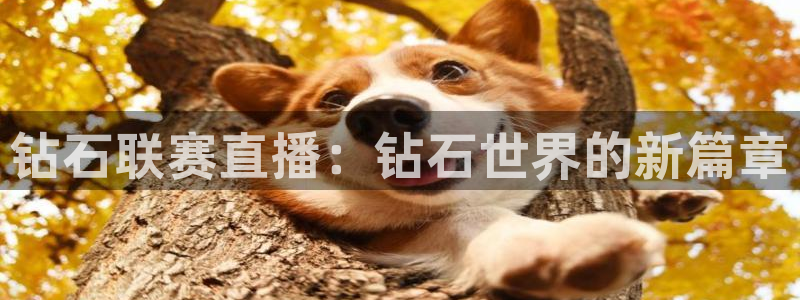 河豚体育直播官网：钻石联赛直播：钻石世界的新篇章