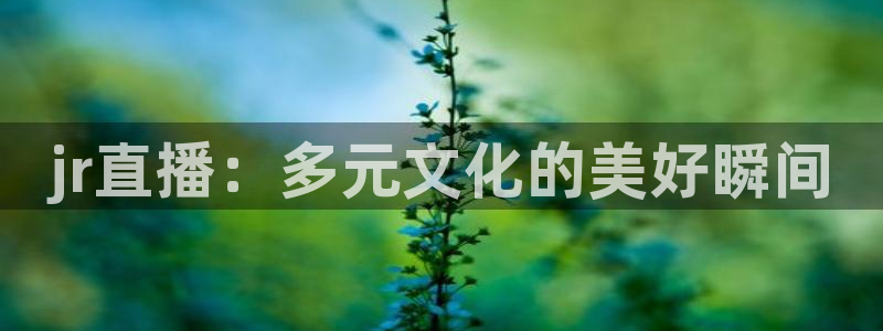 河豚体育nba直播下载：jr直播：多元文化的美好瞬间