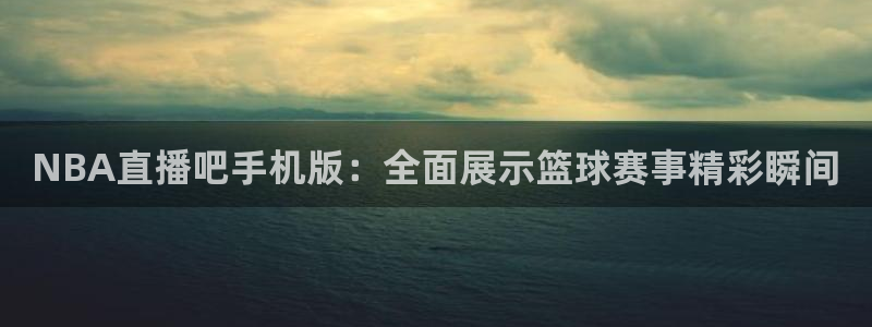 河豚篮球赛事直播：NBA直播吧手机版：全面展示篮球赛事精彩瞬间